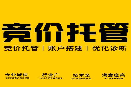 SEM代运营案例：助力企业实现线上转型
